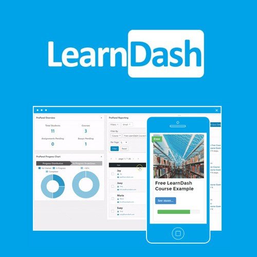 LearnDash (WP Plugin)