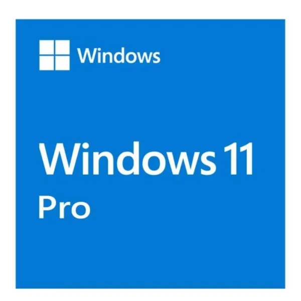 Windows 11 Professional